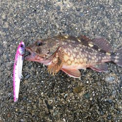 令和元年初日はポーアイで